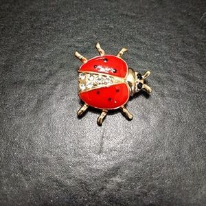 *Sale* Gold tone and red enamel ladybug pin